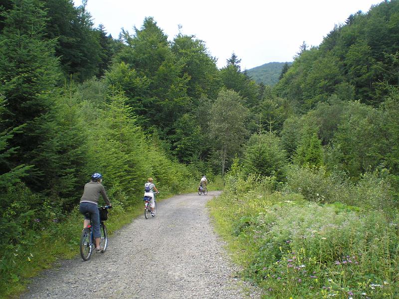 wakacje2008 153.jpg - I juz jako członek Carpatii w czwart dzień wyruszyła w rowerową trasę do Cisnej